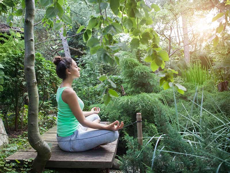 ATELIER MEDITATION NATURE